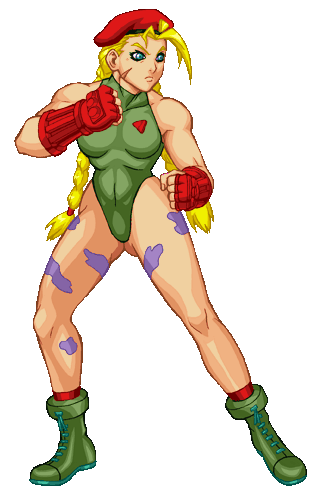 Cammy stance